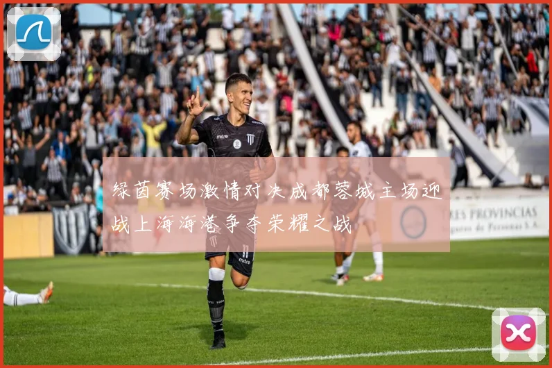 绿茵赛场激情对决成都蓉城主场迎战上海海港争夺荣耀之战