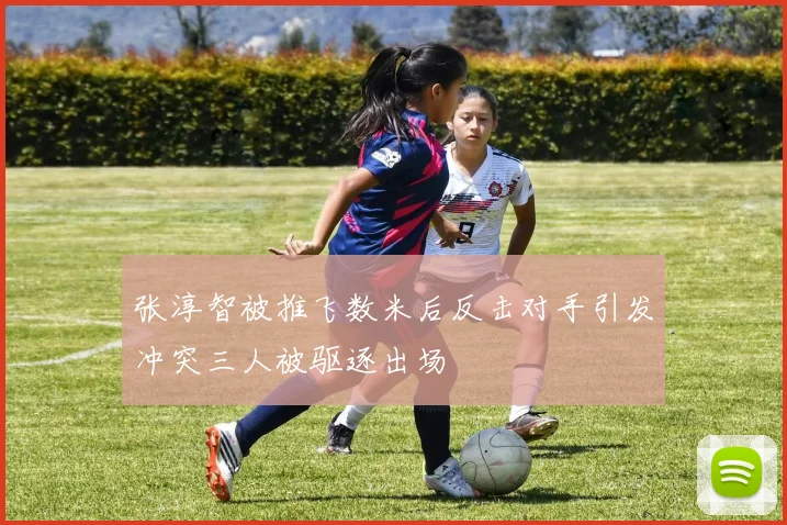 张淳智被推飞数米后反击对手引发冲突三人被驱逐出场