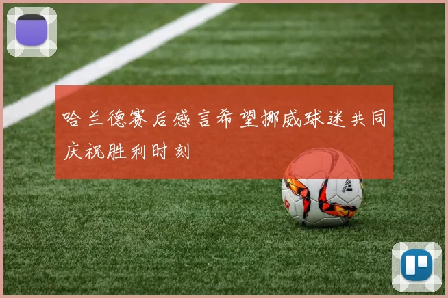 哈兰德赛后感言希望挪威球迷共同庆祝胜利时刻